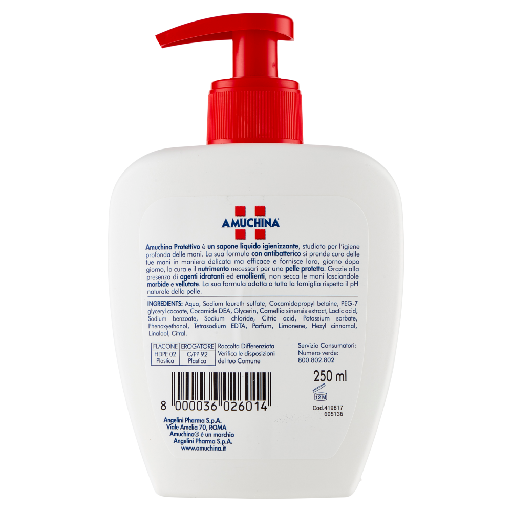 Amuchina Protettivo Sapone Liquido Mani Igienizzante 250 ml, , large