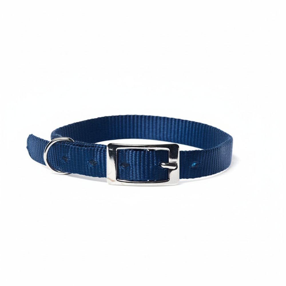 Petup Collare nylon 15 x 450 mm blu, , large