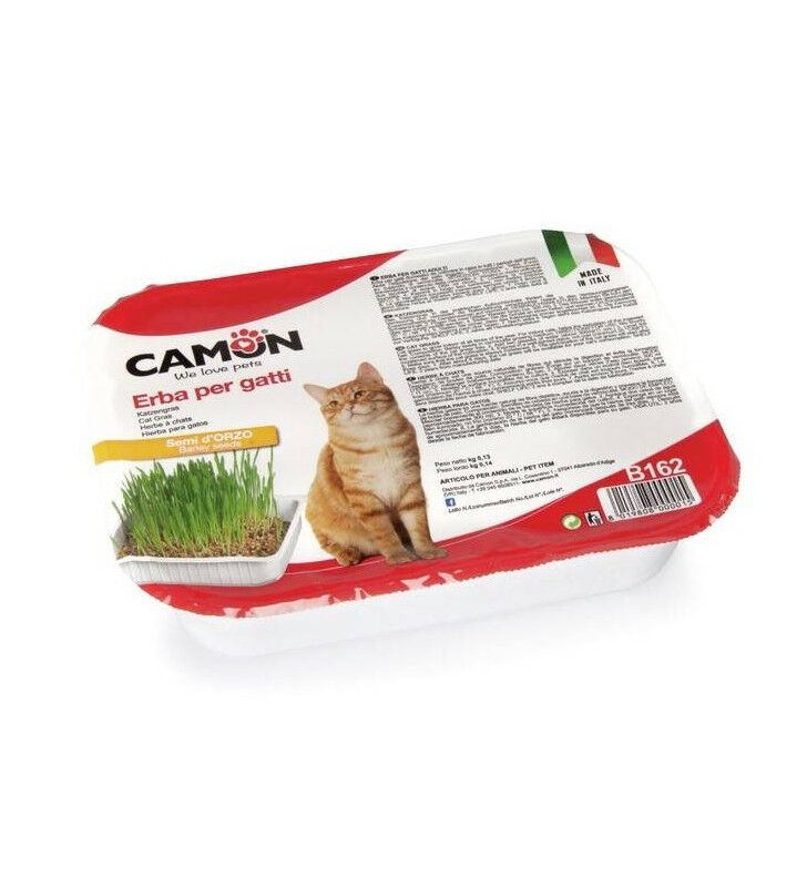 Camon erba per gatti in vaschetta con semi d'orzo - -