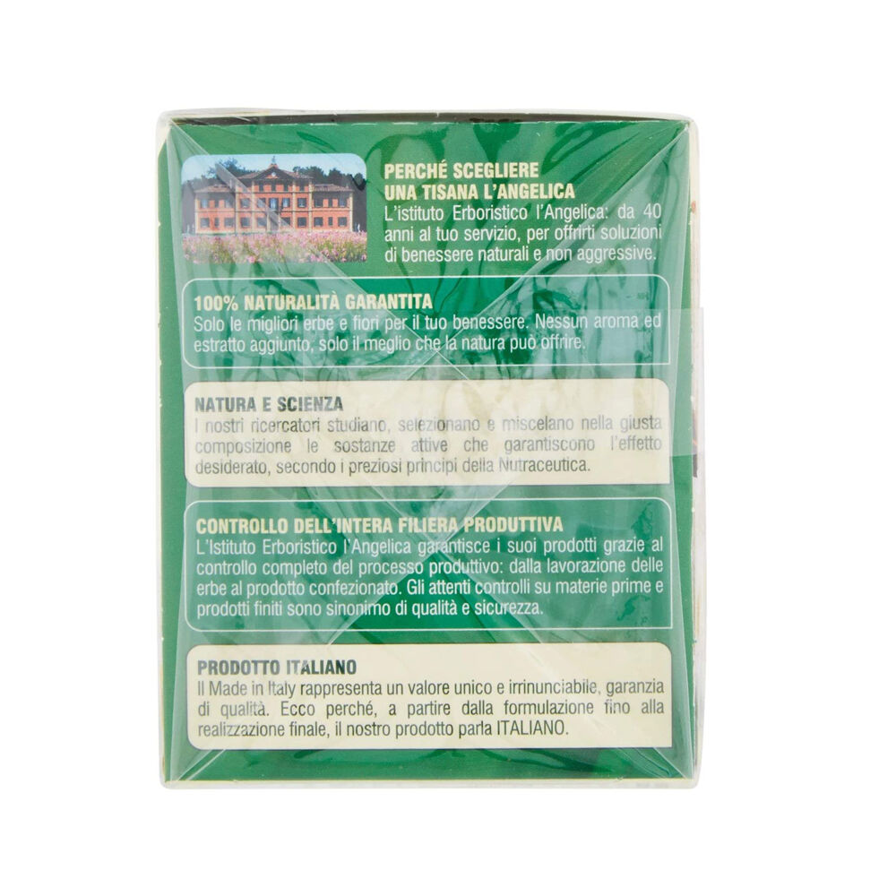 L'Angelica Nutraceutica le Tisane Sollievo Stomaco 20 Filtri 30 g, , large