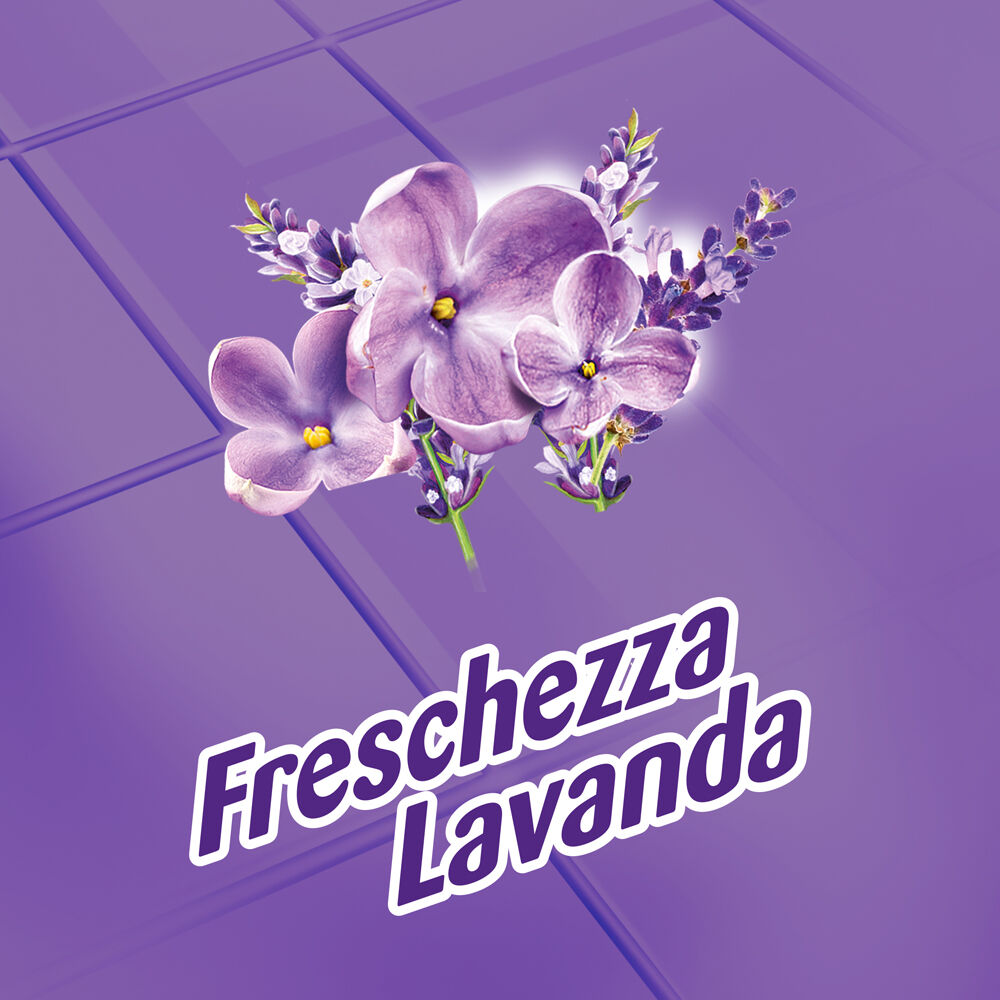 Immagine Immagine