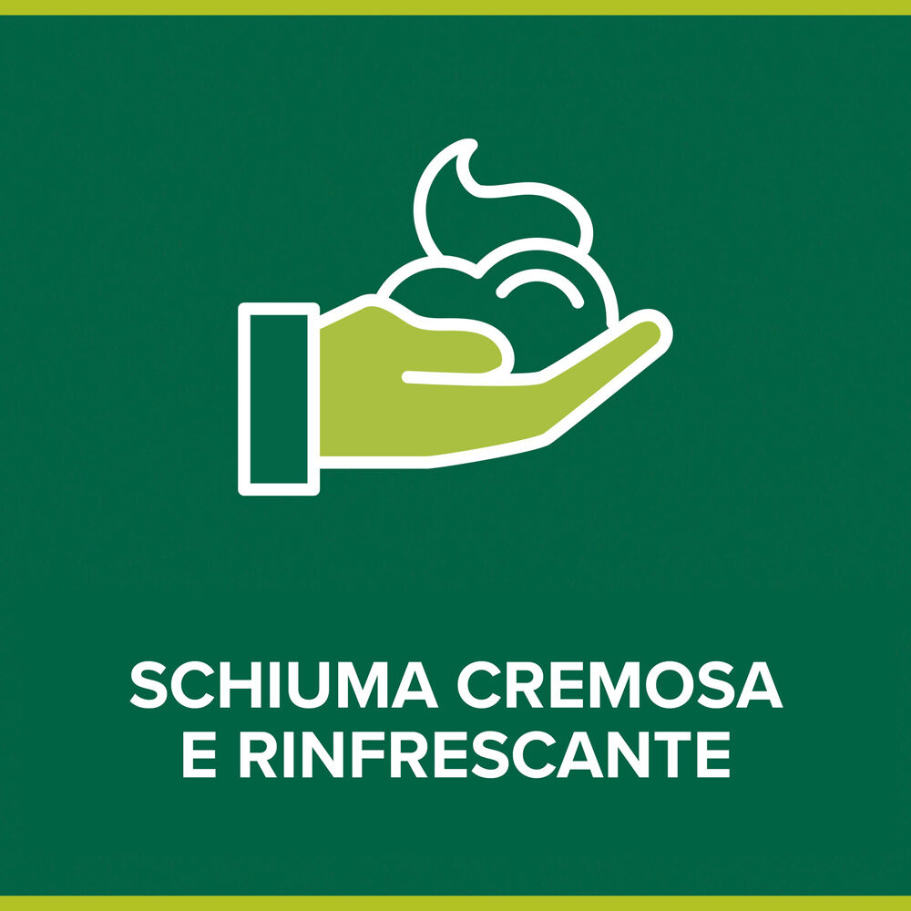 Palmolive Crema da Barba Men Rinfrescante al Mentolo 100 ml, , large