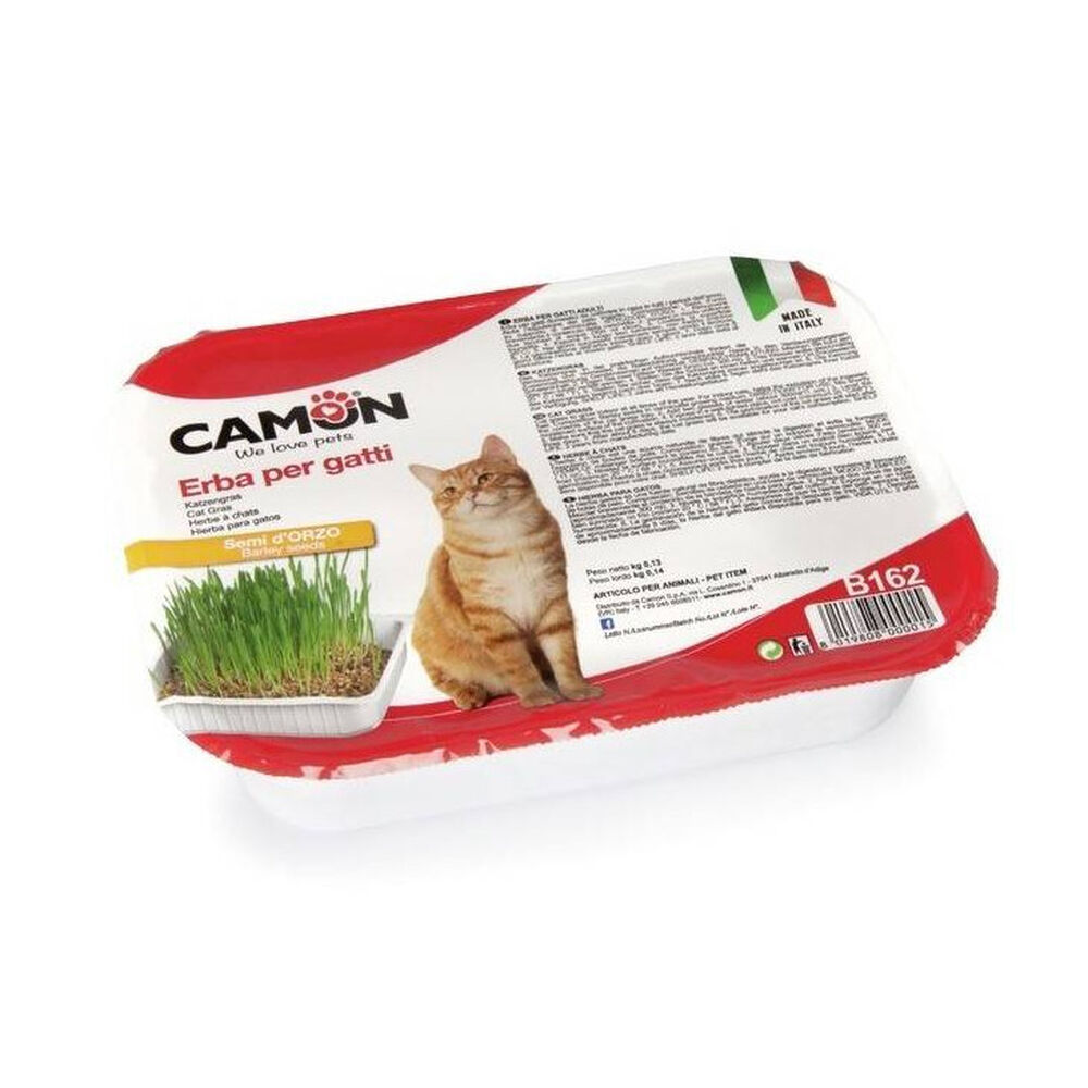 Camon erba per gatti in vaschetta con semi d'orzo, , large