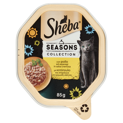 Sheba Cat Season Collection con Pollo e Asparagi 85 g