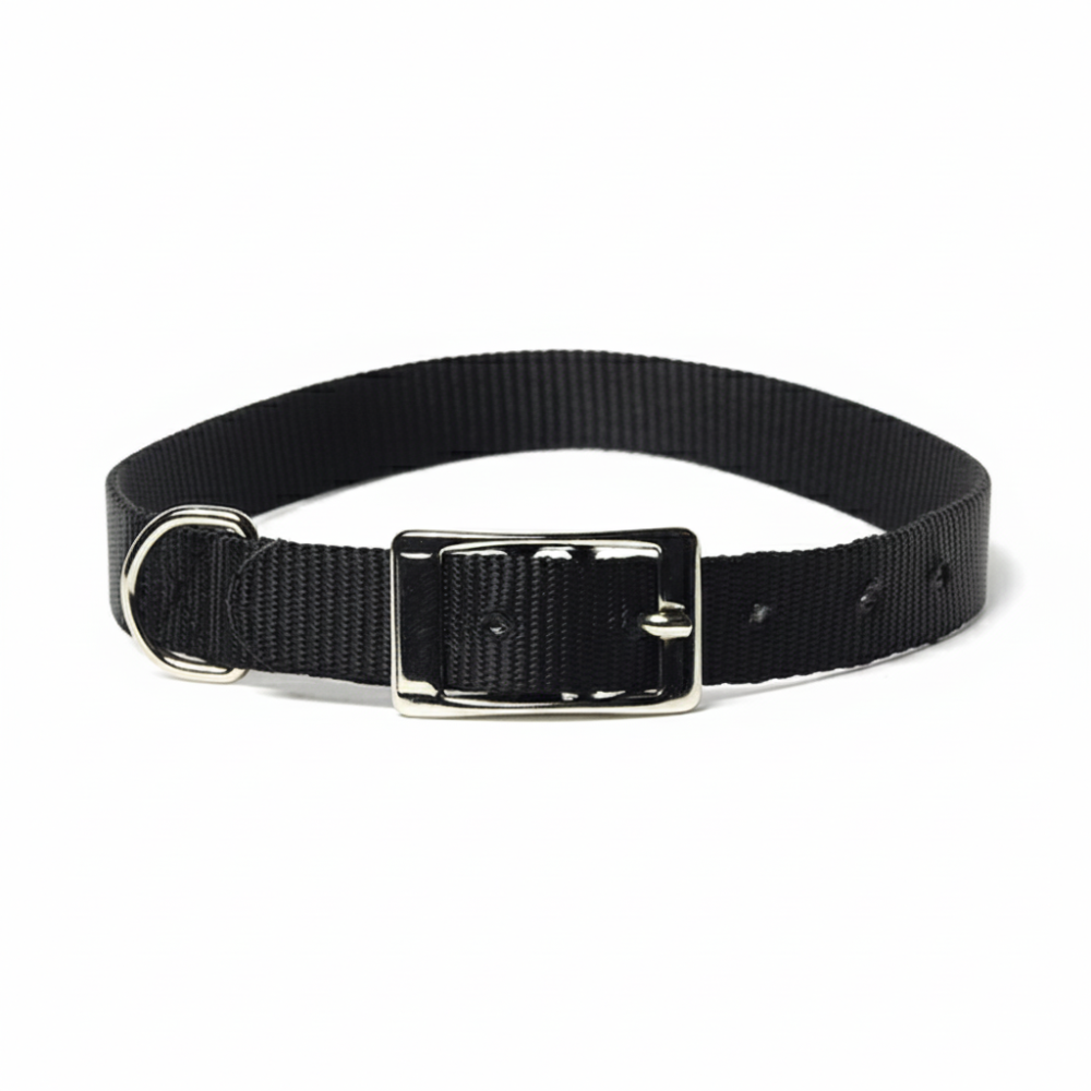 Petup Collare nylon 18 x 500 mm nero, , large