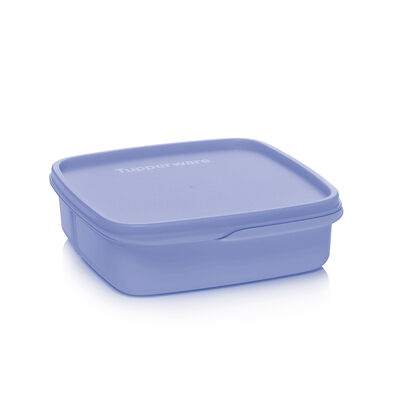 Tupperware ECO+ Portion & Go Compact Lunch Box 500 ml