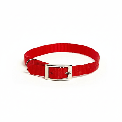 Petup Collare Nylon Rosso 12 x 380 mm 
