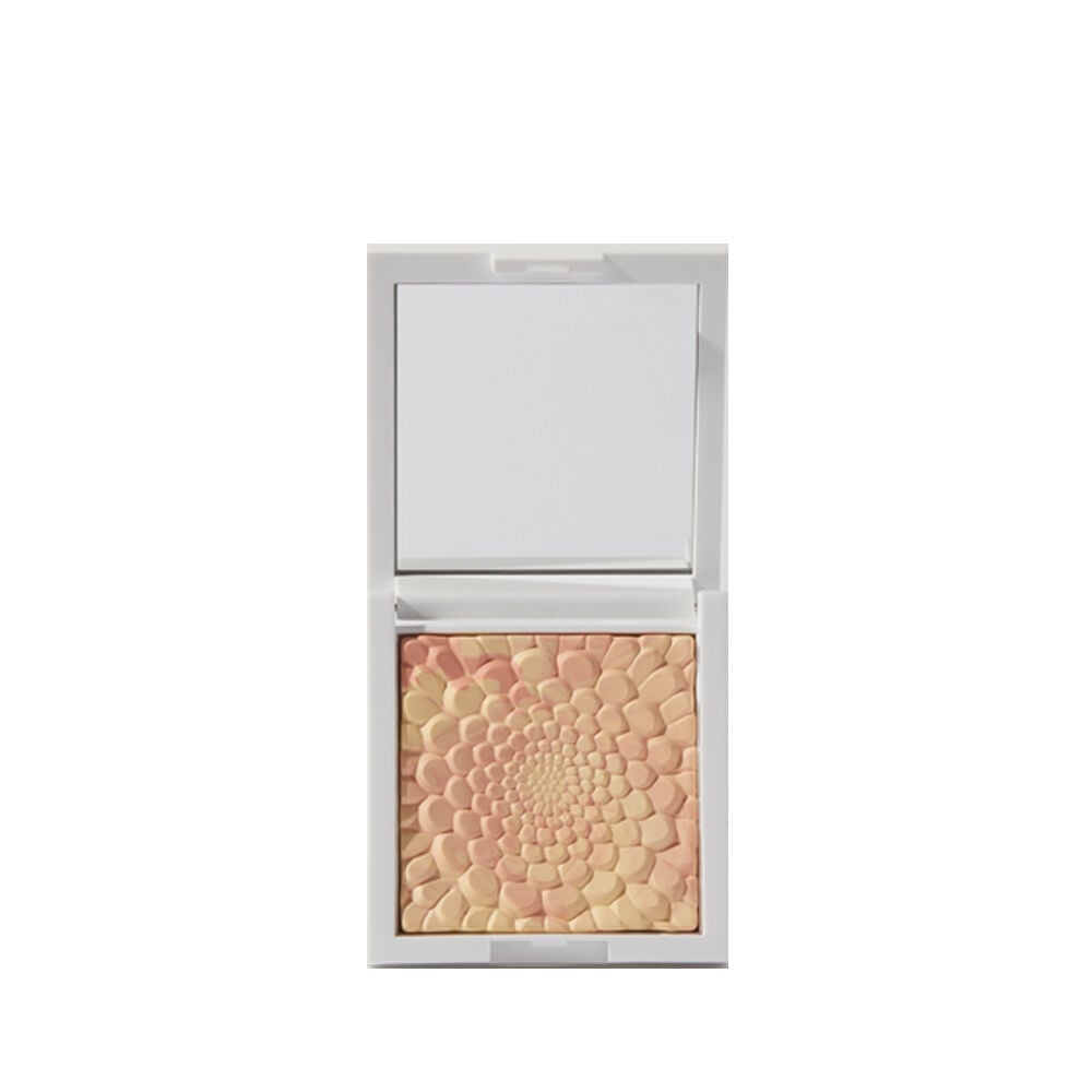 Goovi Cipria Opacizzante Blotting 02 - -