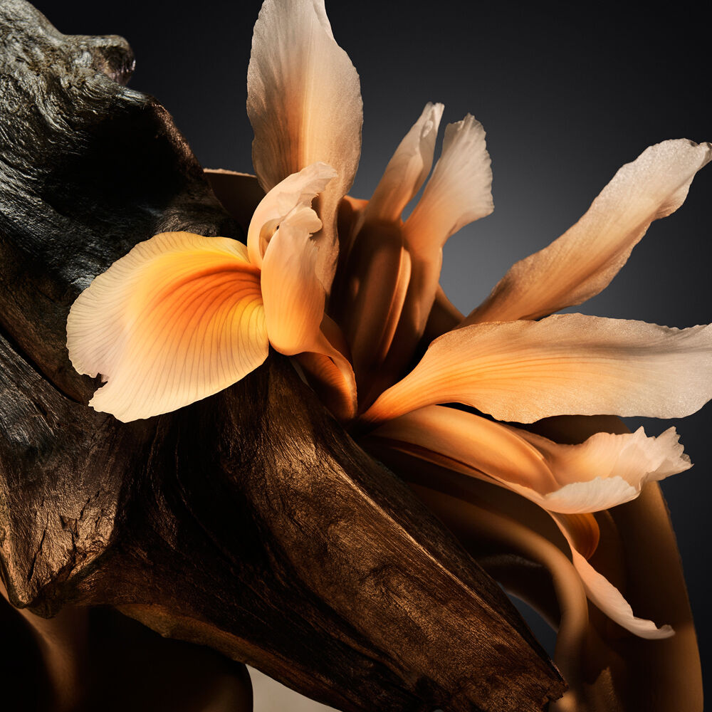 Hugo Boss Boss Bottled Parfum 50ml, , large