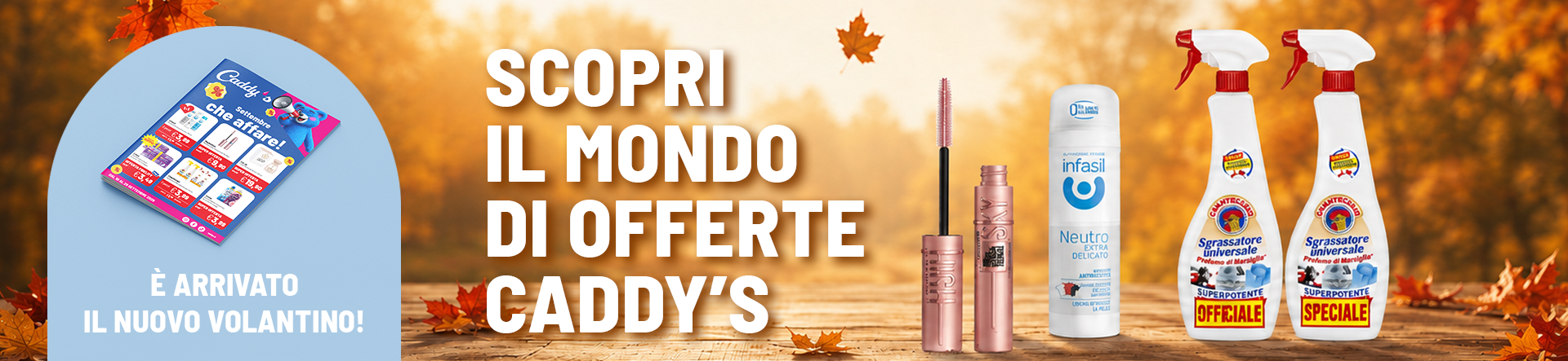 Scopri le nuove offerte!