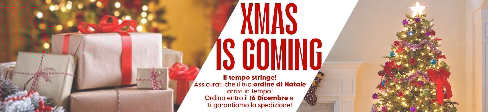 Ricevi il tuo ordine entro Natale