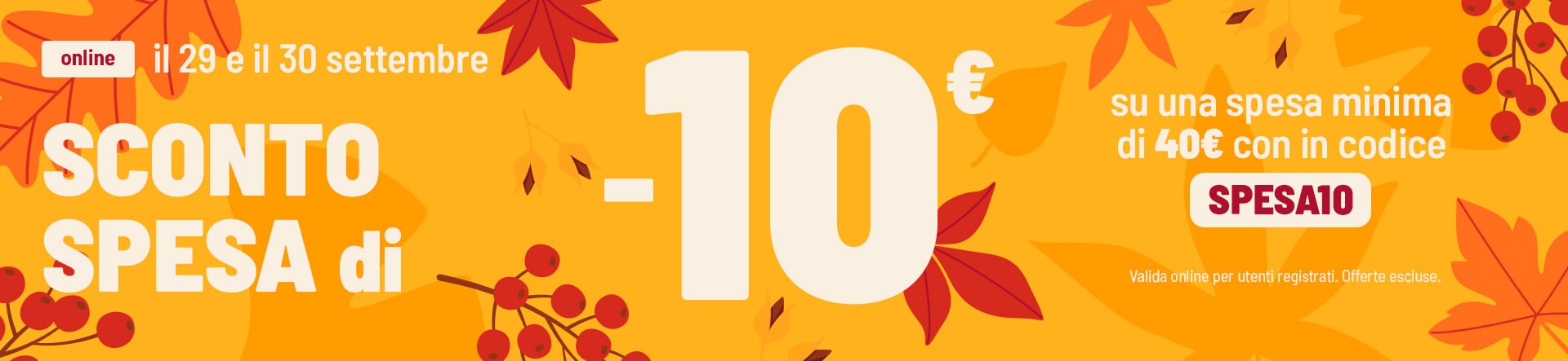 Sconto spesa -10&euro;